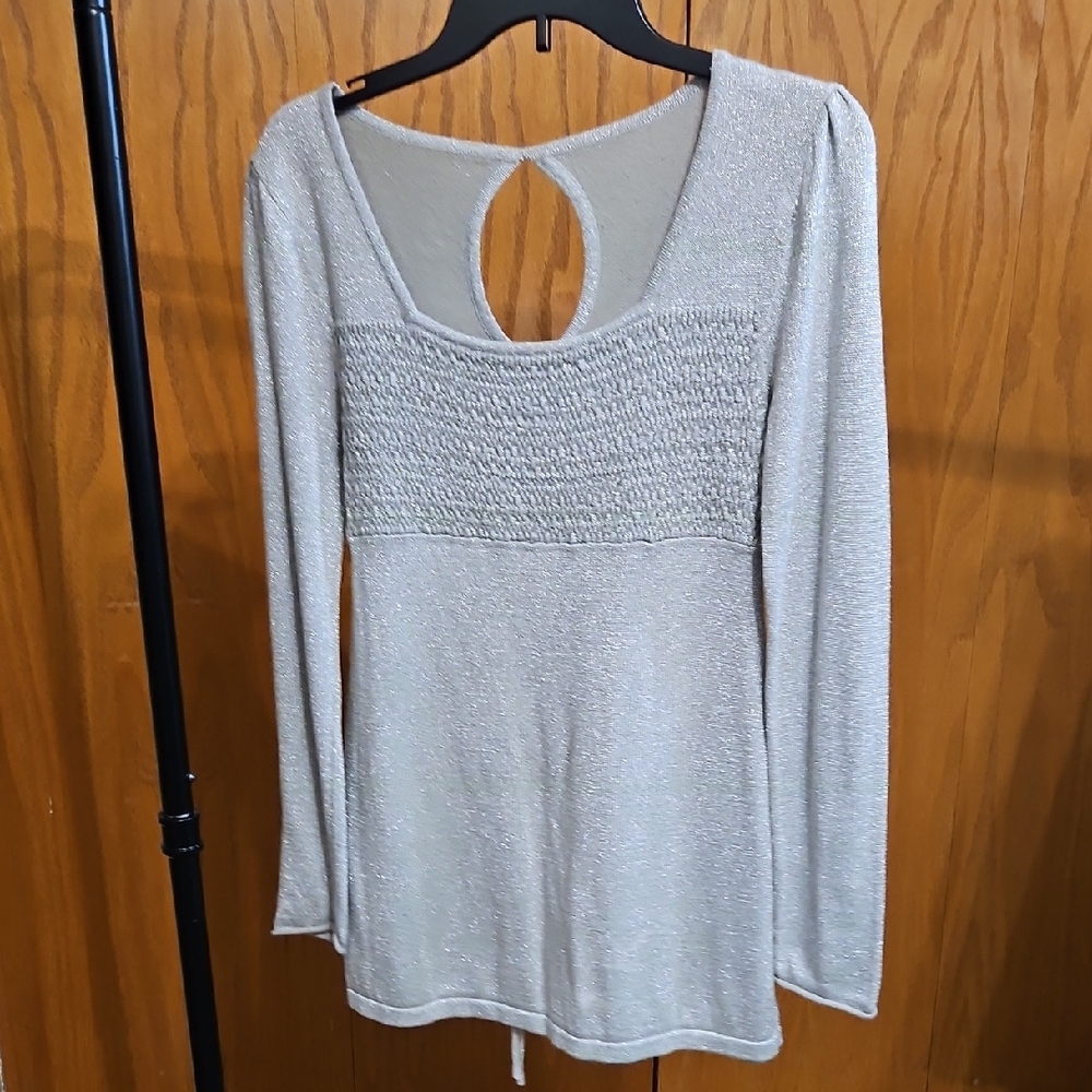 Elegant Silver Women's Top